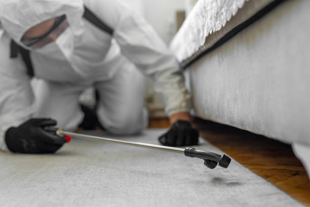 Professional Pest Control technician working in Paramount, CA