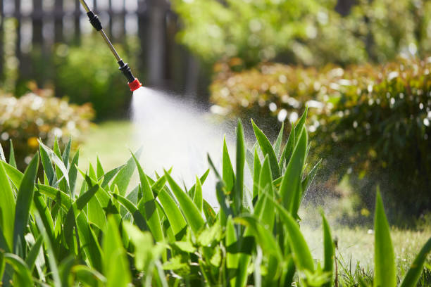 24/7 Emergency Pest Control experts in Paramount, CA